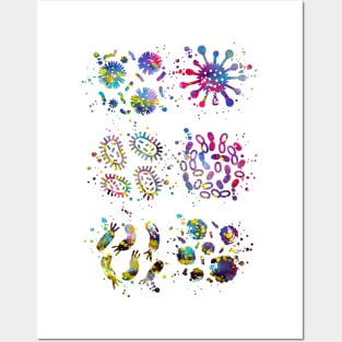 Bacteria Posters and Art